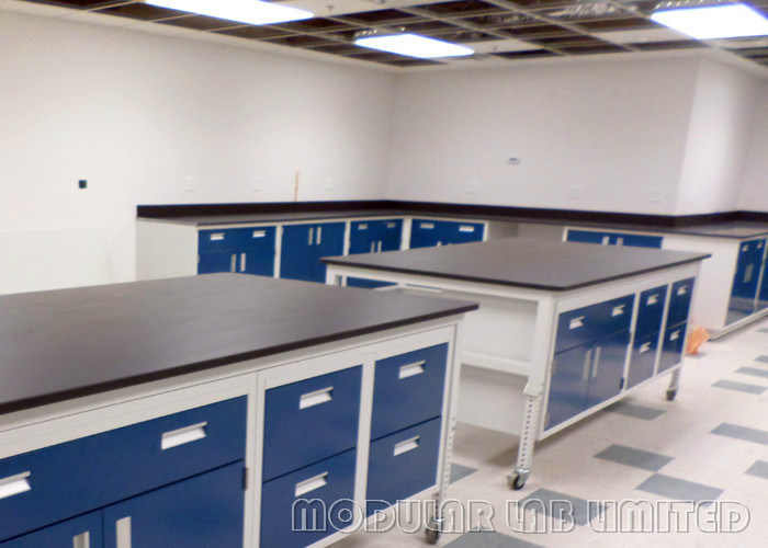 تصميم الأثاث مختبر الأسنان مقعد مع الظلام المضادة للتآكل مقبض